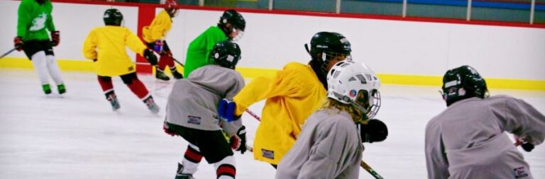 2023-u11-u13-summer-shinny-times-north-seera-hockey